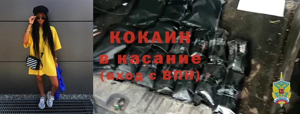 гидра Арсеньев