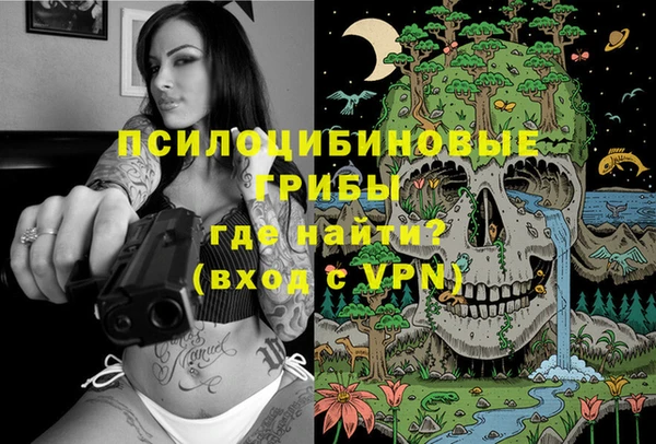 тгк Армянск