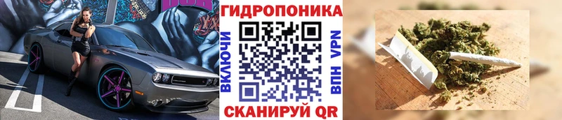 ссылка на мегу tor  Суровикино  Конопля тримм  как найти наркотики 
